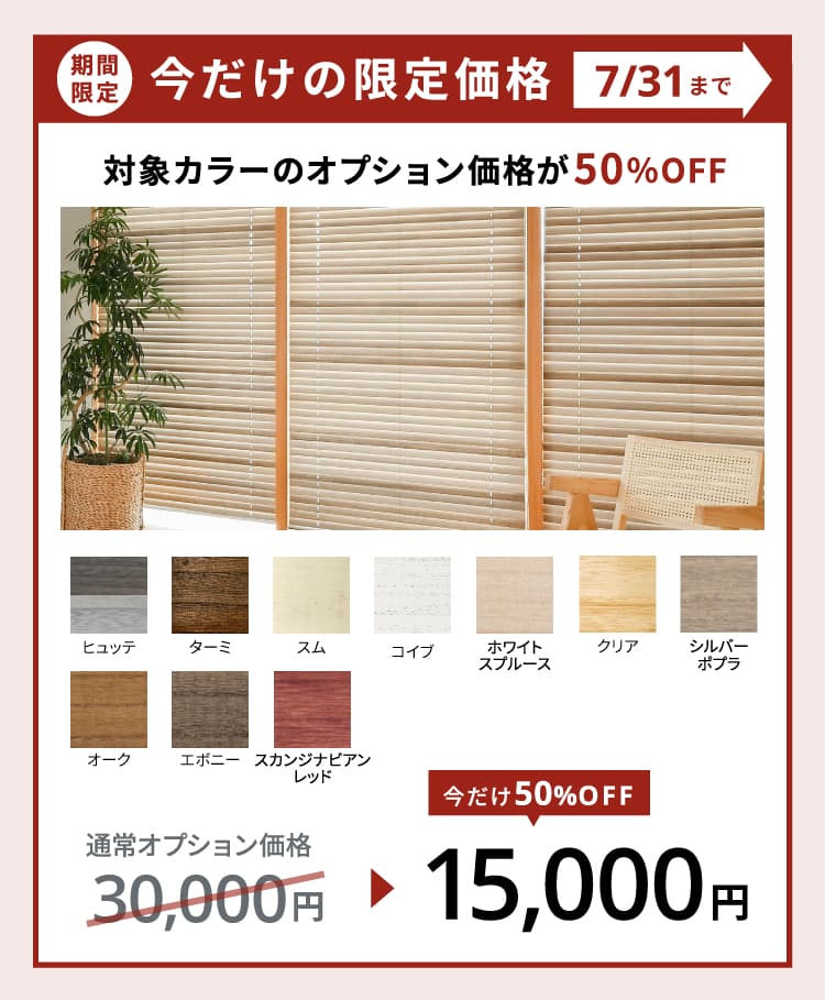 塗装カラー半額バナー